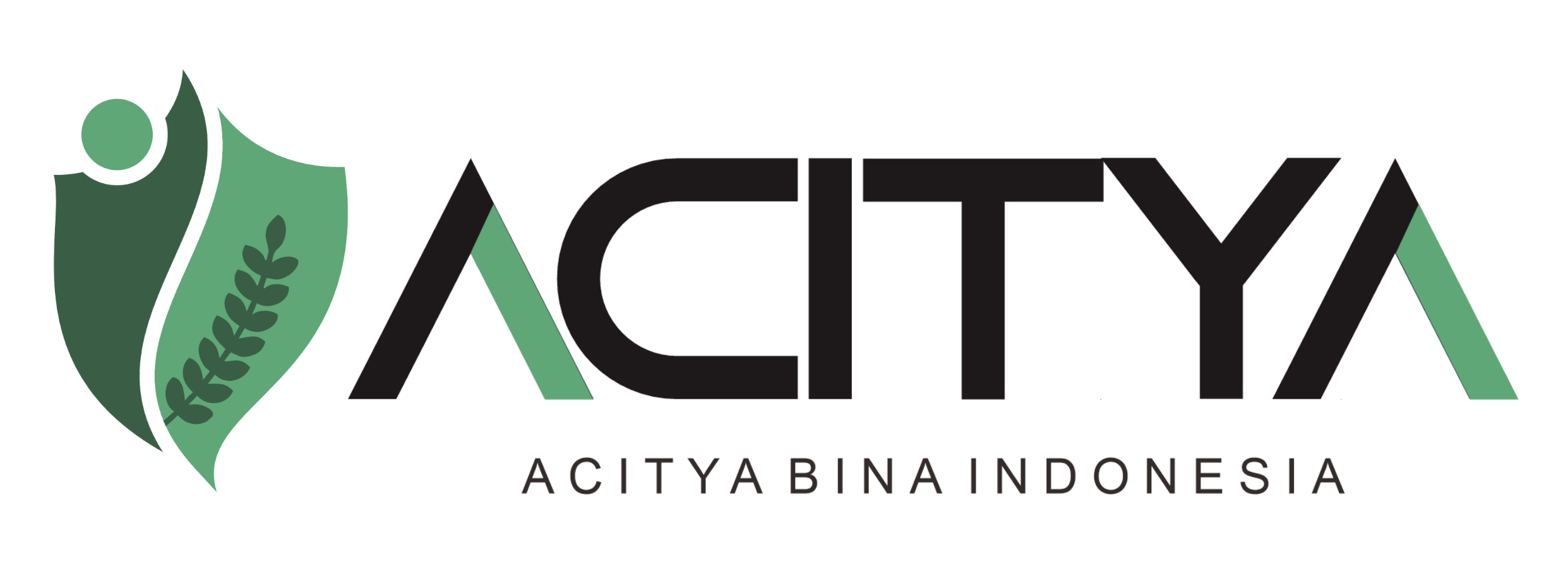 Acitya Bina Indonesia